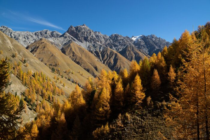 Info no. 2/2025: Gestion d&rsquo;actifs